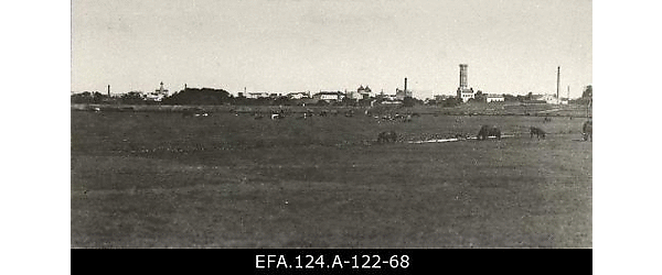 Kariloomad söömas Riias Kuznetsovi vabriku lähedal asuval lennuväljal
                    [1916].