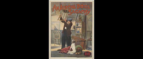 An Apache dog's sagacity