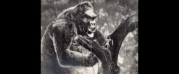 
King Kong und die weiße Frau
          
