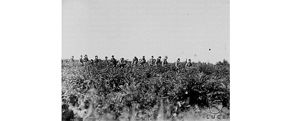 Serra San Bruno Militi fascisti attraversano un campo di manovre della M.V.S.N. in località Serra San Bruno