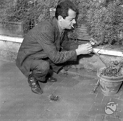 L'attore Serge Reggiani sul terrazzo di casa - totale