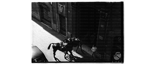 Ripresa dall'alto di carabinieri a cavallo impegnati a controllare un gruppo di manifestanti contro la legge 'Medici' - campo lungo