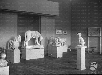 Roma Alcune sculture rappresentanti animali esposte in una delle sale della mostra