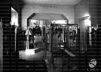 Interno di sala allestita con vetrine contenenti cimeli e gagliardetti della M.V.S.N. Sulla parete di fondo la scritta: 'In Arduis Lictoria Virtus'. Totale