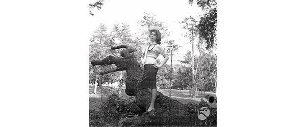 Pina Bottin in posa sopra il tronco di un albero; esterno; campo medio