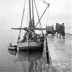 Izola Barca da pesca ancorata accanto ad un molo su cui si trova un carretto carico di sacchi ed un cavallo, tenuto per la briglia da un uomo