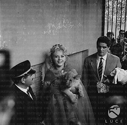 Sandra Milo, in abiti di scena per il film Fantasmi a Roma, allo zoo di Roma con un leoncino in braccio - piano americano