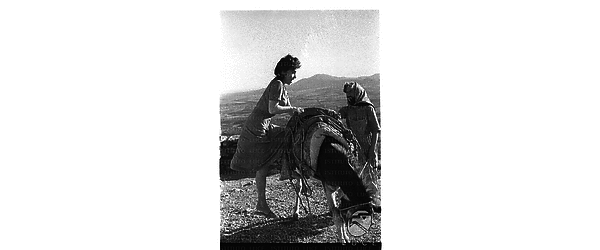 Gina Lollobrigida ripresa mentre tenta di salire su un mulo vicino al mare sul set del film 'Pane amore e gelosia' - totale