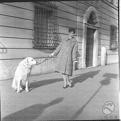 Una modella con un cappotto tiene al guinzaglio un cane. Campo medio