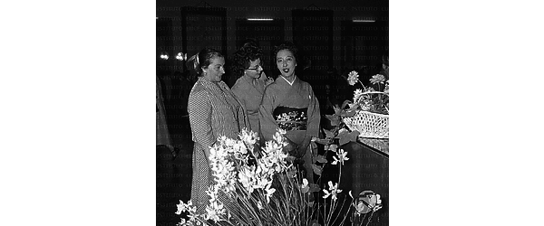 Donne in costume giapponese alla mostra di sculture floreali - piano americano
