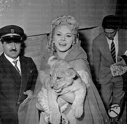 Sandra Milo, in abiti di scena per il film Fantasmi a Roma, allo zoo di Roma con un leoncino in braccio - piano americano