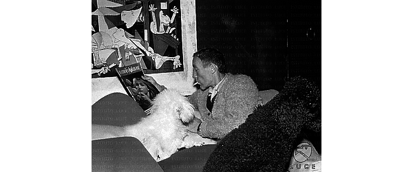 Paul Steffen sdraiato su un divano con due cani vicino. Sulla parete è affisso una stampa del Guernica di Picasso. Piano medio