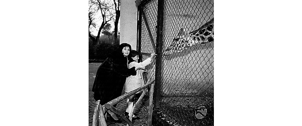Elaine Eden con la figlia che dà da mangiare alla giraffa - totale