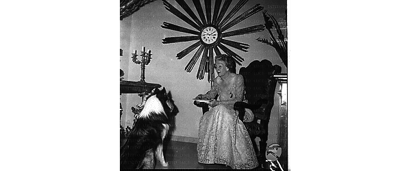 Un cane di razza colli fissa il piatto sorretto da un'anziana signora in abito da sera seduta su una poltrona in casa Cugenheim [o Guggenheim]. Totale
