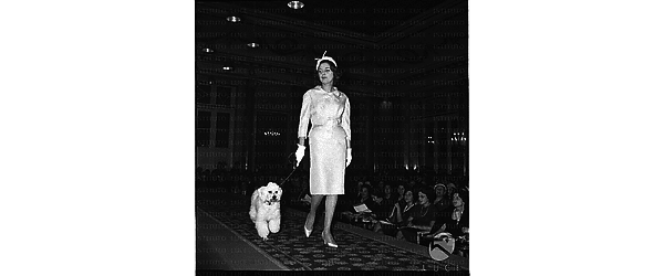 Una modella, sulla passerella dell'Excelsior, sfila con un tailleur della stilista Tita Rossi, porta anche un cagnolino al guinzaglio - totale