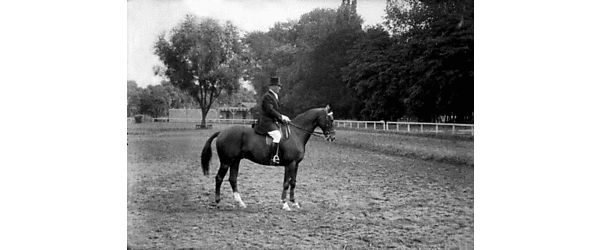 Českoslovenští účastníci jezdeckých soutěží na IX. olympiadě 1928 v Amsterodamě - picture 2