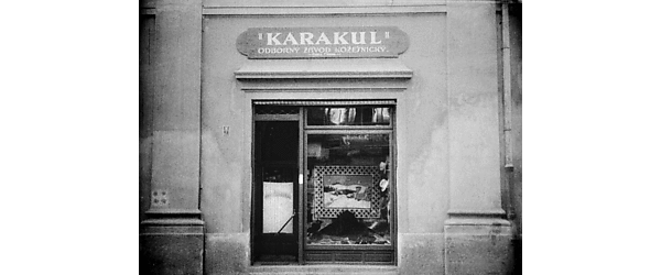 Módní přehlídka firmy Karakul - picture 2